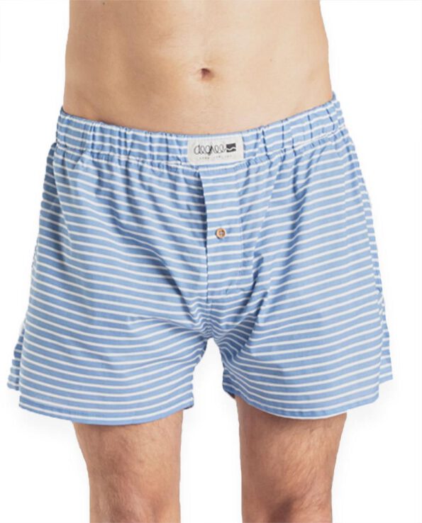 Degree-Clothing-W2021-Boxershorts-stripes-blue